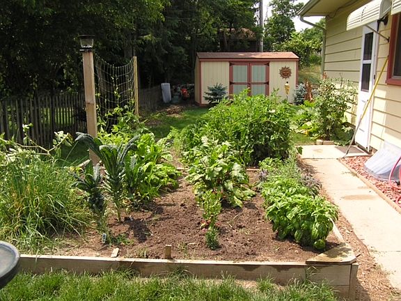 Garden & Storage Shed