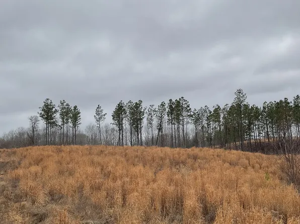 0 Sagebrush Way Lot 40, Dover, TN 37058