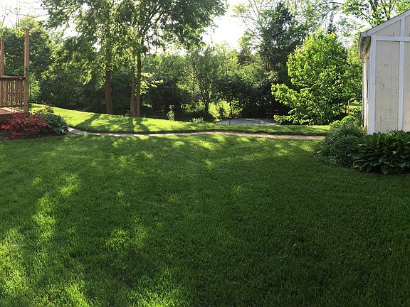 Back  Yard, Shed & Deck