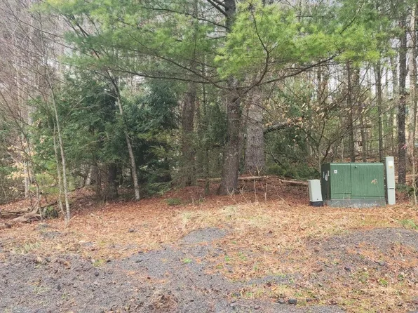 0 Deer Valley Road, Jewett, NY 12444