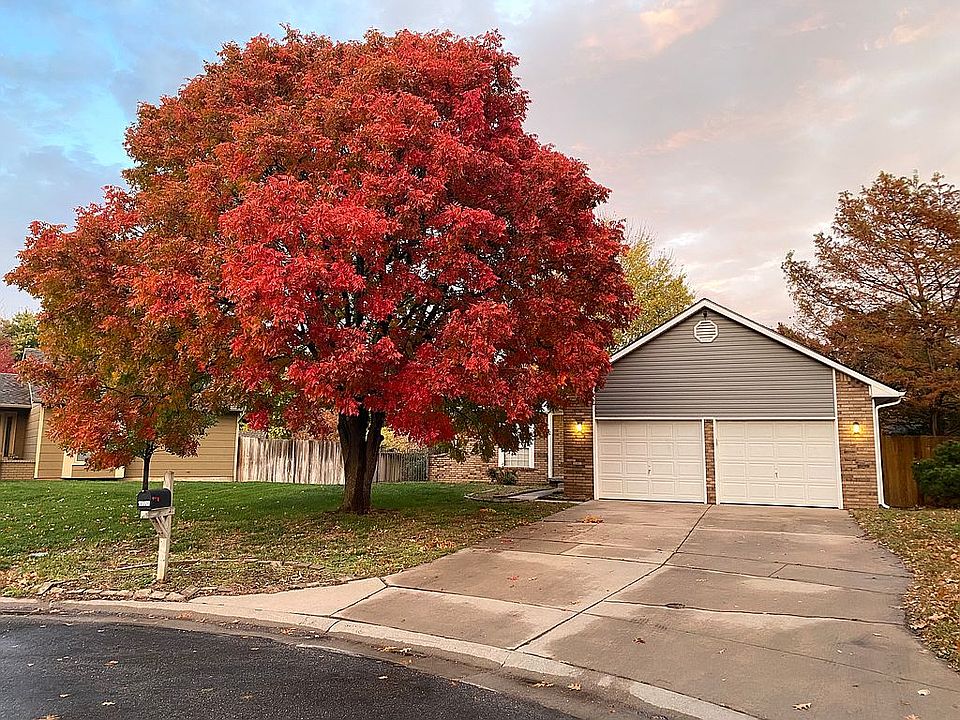 Beautiful Fall Color 11/21