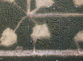 13 Boreal Frst, Tok, AK 99780