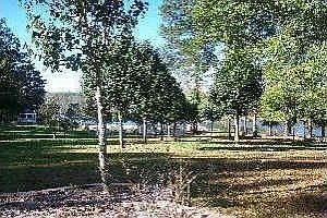 1st image of 1337 Woodtrail Dr