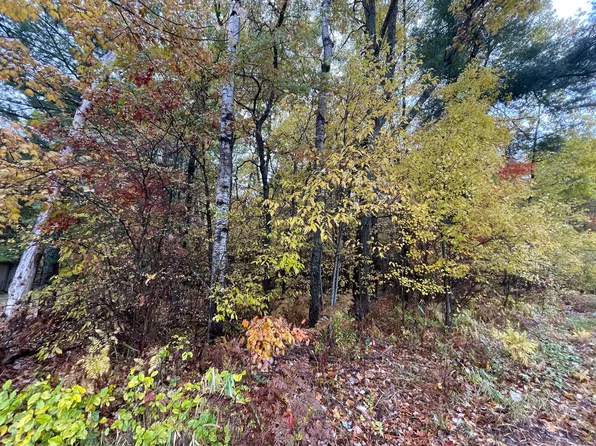757 S Tower Hill Rd, Houghton Lake, MI 48629