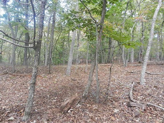 4th image of 0 Holly Ln Lot C