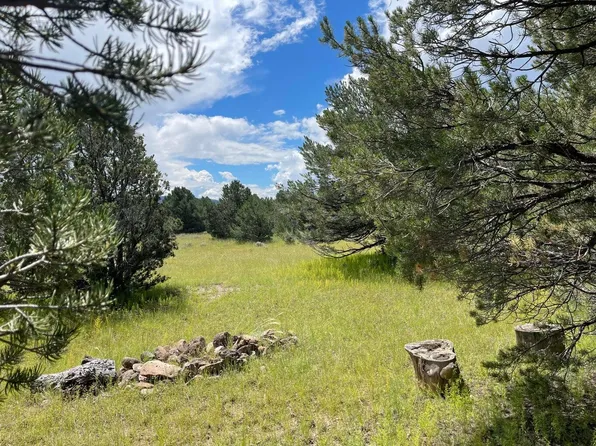 7 Gila Dr, Quemado, NM 87829