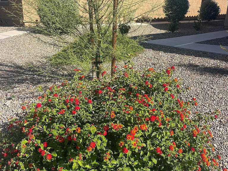 8856 E Pantano Bluff Dr — Photo 17