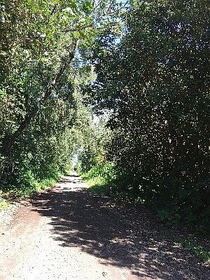 5th image of 21st Ave Lot 385