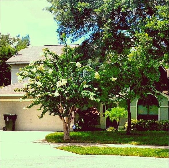 1st image of 1012 Jackson Creek Ct