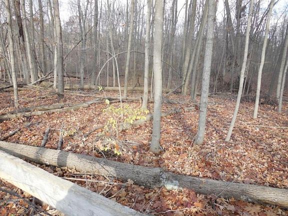 4th image of 8383 Dunnbury Cir