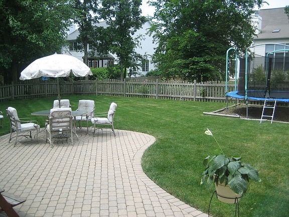 Back Yard / Patio