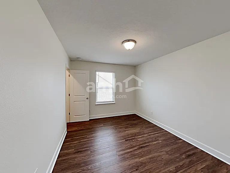 1397 Celery Palm Cv — Photo 25