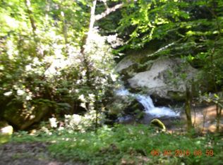 0 Rocky Fork Rd, Flag Pond, TN 37657