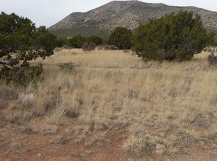 58-56 S Mountain Rd, Edgewood, NM 87015