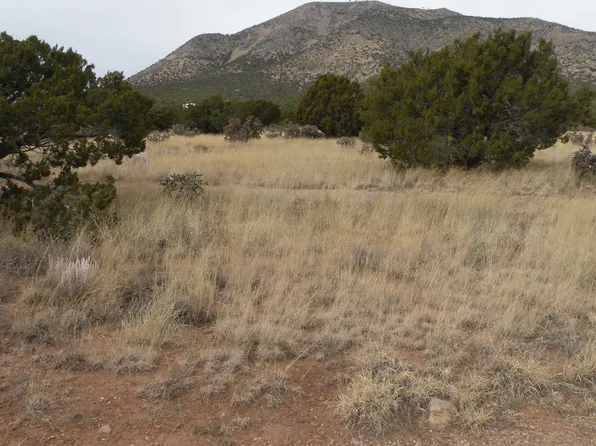 58-56 S Mountain Rd, Edgewood, NM 87015