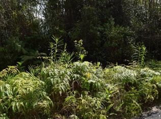 Road 5 LOT 221, Volcano, HI 96785