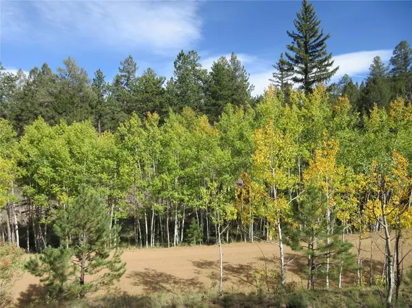 736 Aspen Cir, Hartsel, CO 80449