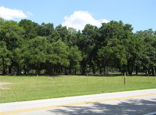 0 Dora Ave, Mount Dora, FL 32757