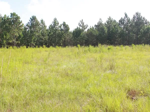 4874 E Hencart Rd, Glennville, GA 30427