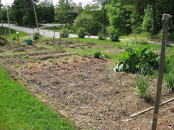 large vegetable and herb garden