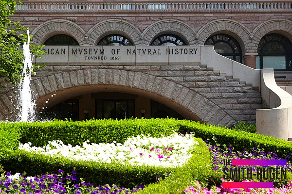 Rented by R New York | media 18