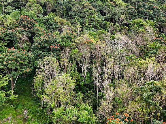 5th image of 0 Manati Bo Rio Arriba
