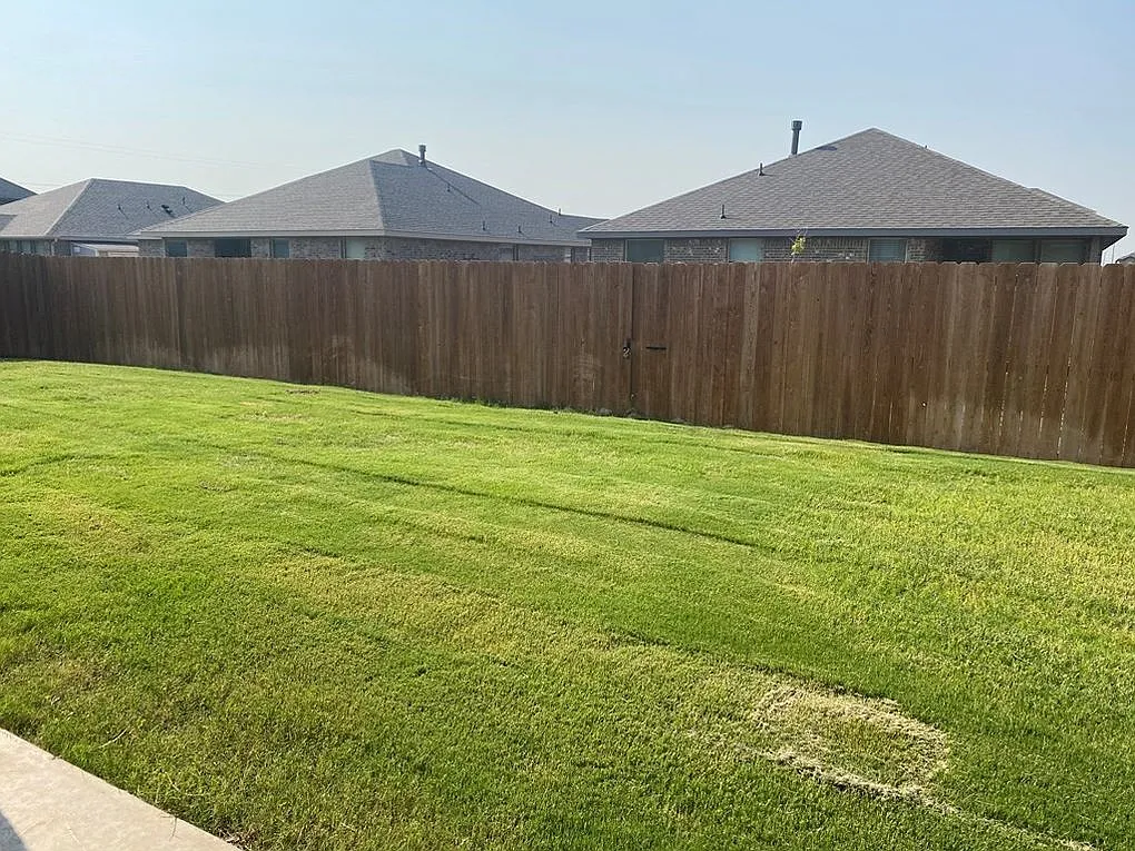 4 bed, 1850 sqft, $8,750 — Photo 3