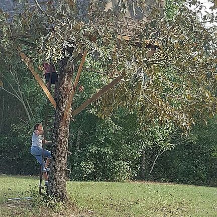 Tree house