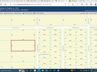 SW Winding Hills Rd LOT 2, Dunnellon, FL 34431