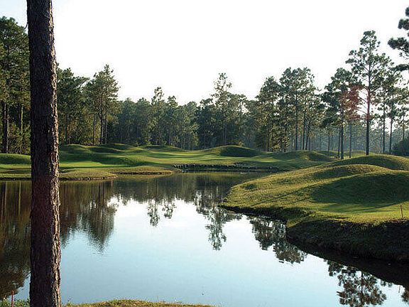 pine forest golf course