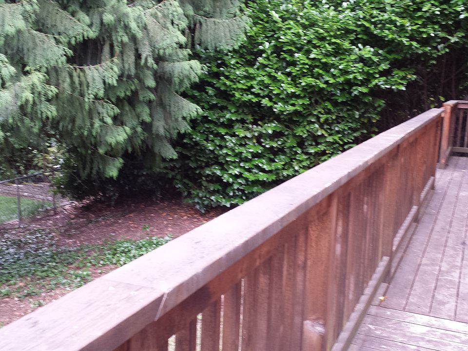 Huge Deck with BBQ space