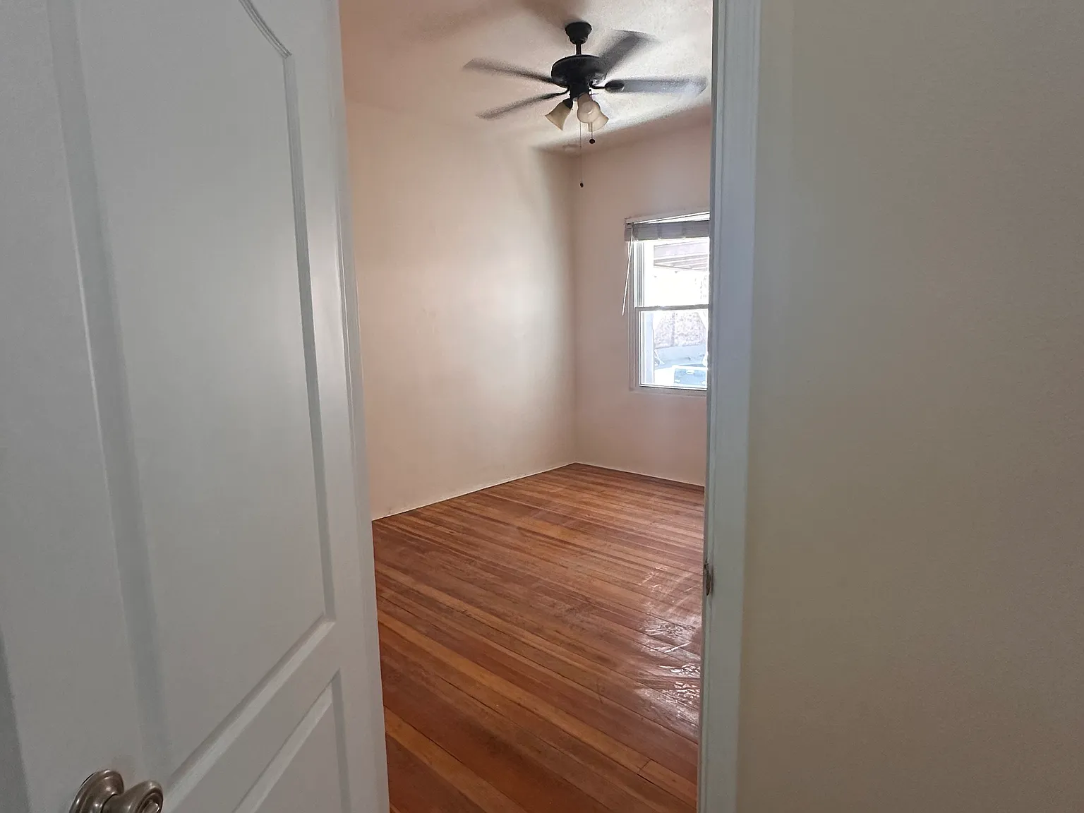1 bed, 900 sqft, $900 — Photo 4