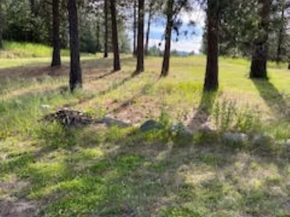 108 S Main St, Springdale, WA 99173