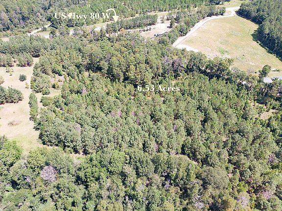 5th image of 26341 Us Highway 80 W Lot 1