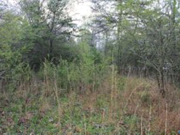 2nd image of 323/ACRE S County Rd #52