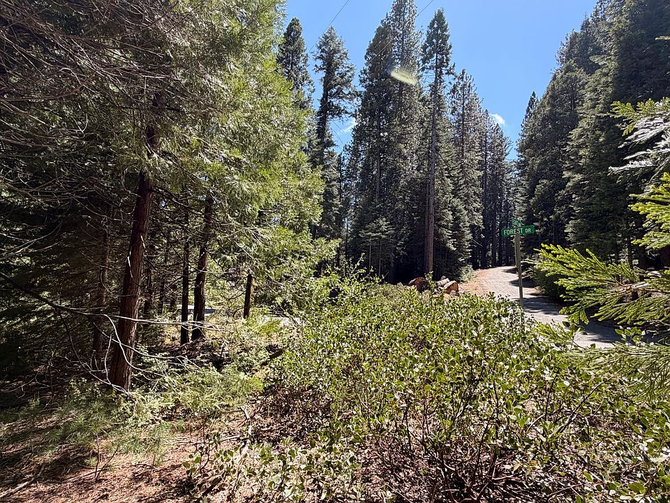 1st image of 7631 Forest Dr