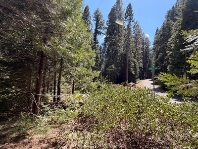 7631 Forest Dr, Fish Camp, CA, 93623