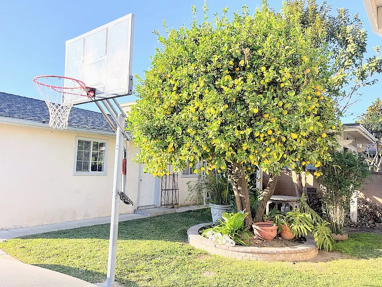View of guest house front door.
Lemon tree in front.