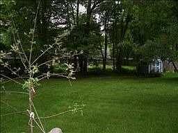 2nd image of 3 Birch Pl