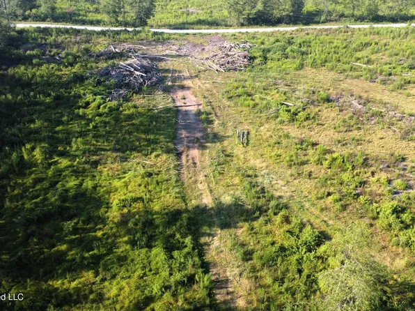 Sinclair Rd, Columbia, MS 39429