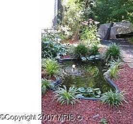 Charming fish pond 