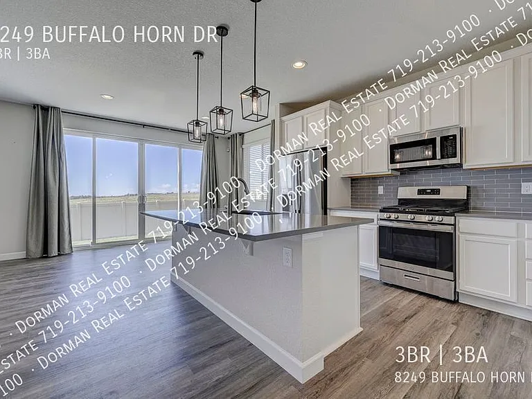 8249 Buffalo Horn Dr — Photo 3