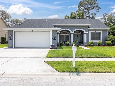 13524 Knotty Ln, Hudson, FL, 34669