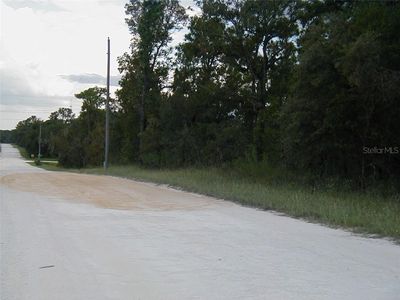 Dusky Warbler Rd, Weeki wachee, FL, 34614