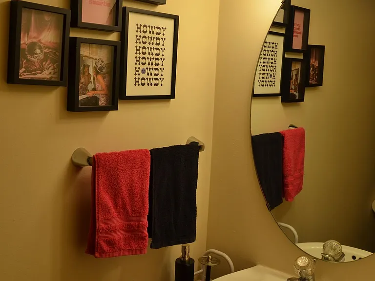 lower level bathroom