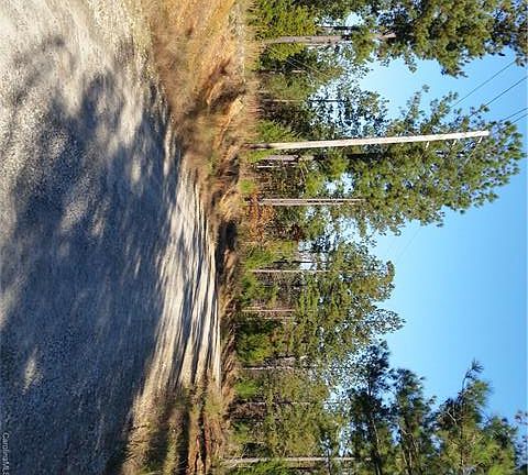 3rd image of 949 Maggie Harris Rd