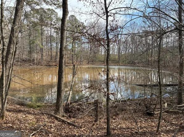 500 Askin Place Rd, Culloden, GA 31016