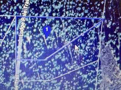 2200 Lodgepole Trl, Johnsville, CA, 96103
