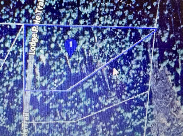 2200 Lodgepole Trl, Johnsville, CA 96103