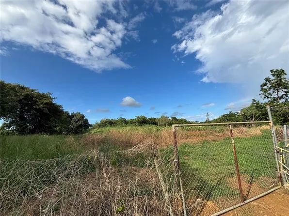 Barrio Ceiba Baja, Aguadilla, PR 00603